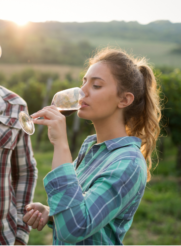 Drink Wine